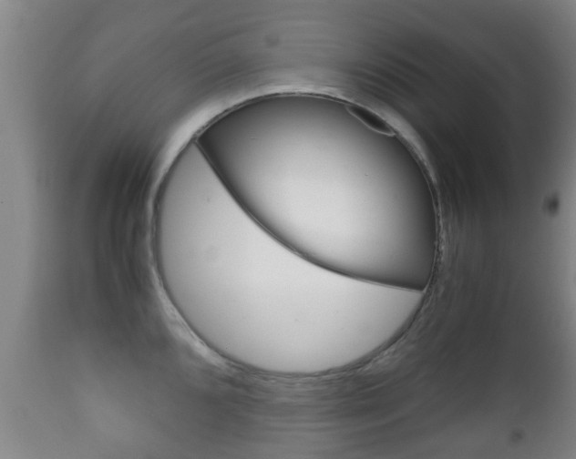 X0000111901096200907271004
