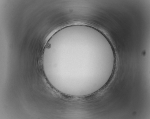 X0000111901097200907271004