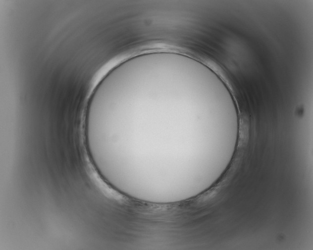 X0000111901098200907271004