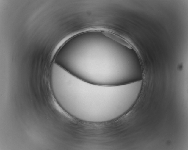 X0000111901100200907271004