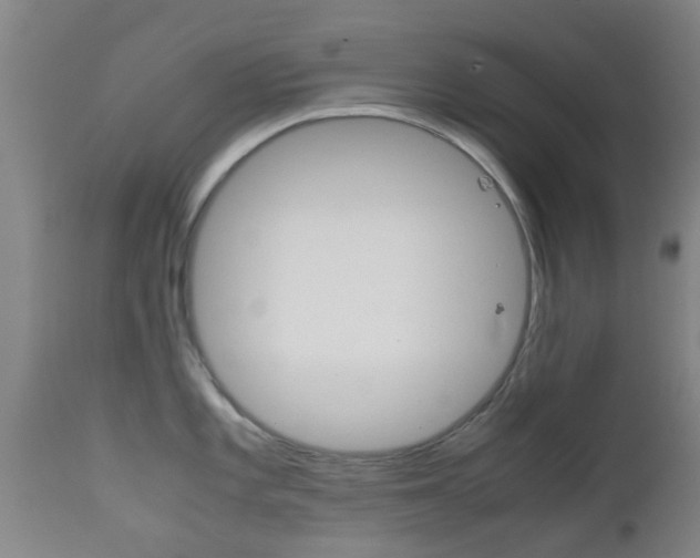 X0000111901101200907271004