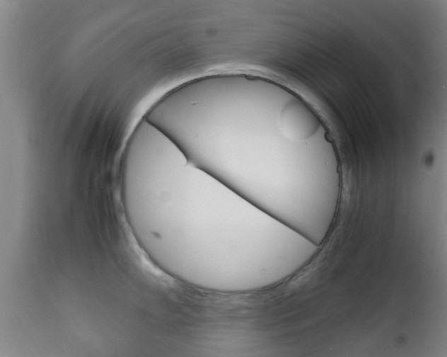 X0000111901102200907271004
