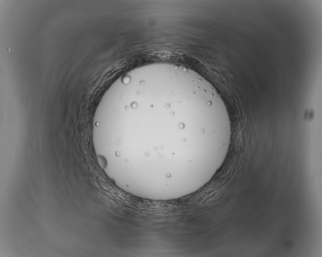 X0000111901105200907271003