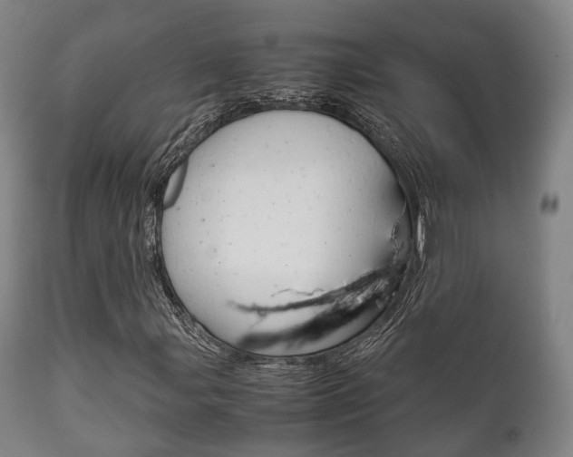 X0000111901107200907271003