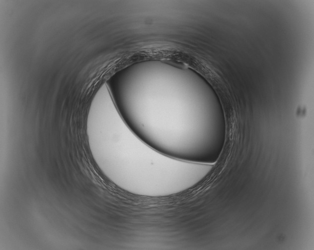 X0000111901108200907271003
