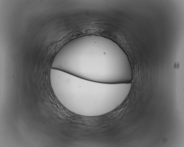 X0000111901109200907271003