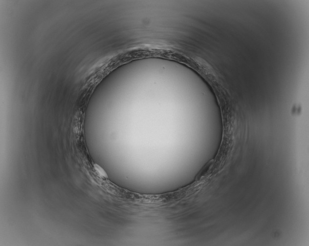 X0000111901110200907271003