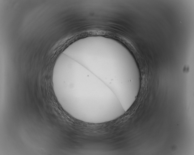 X0000111901111200907271003