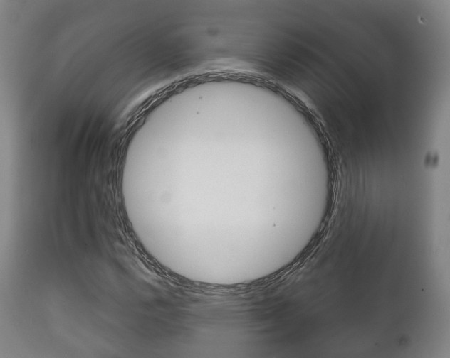 X0000111901112200907271003