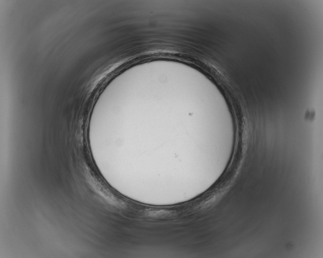 X0000111901113200907271003