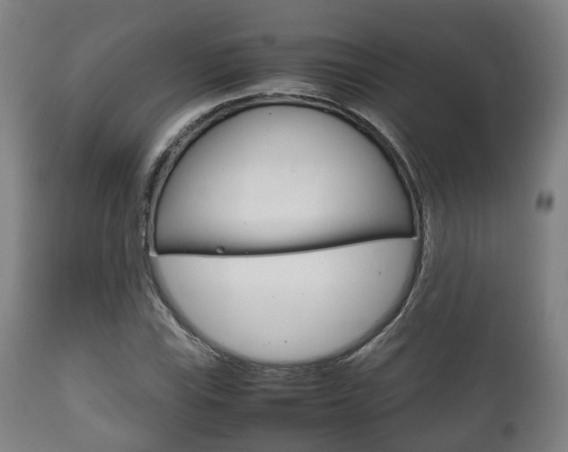 X0000111901115200907271003