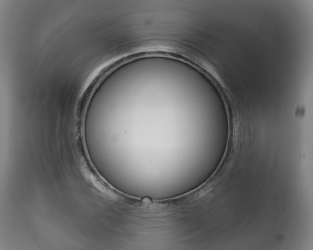X0000111901116200907271003