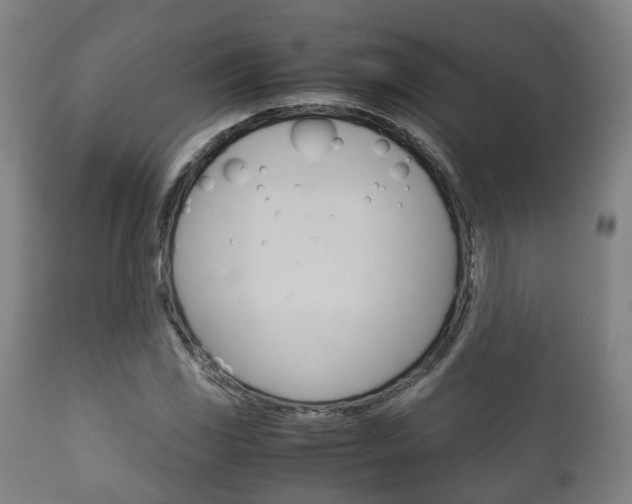 X0000111901117200907271003