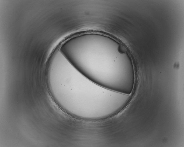 X0000111901118200907271003