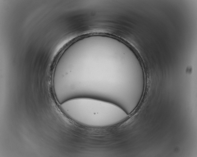 X0000111901119200907271003