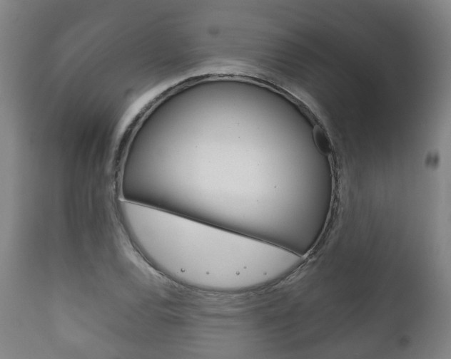 X0000111901120200907271003