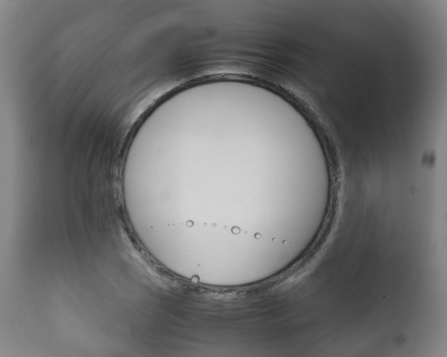 X0000111901121200907271003