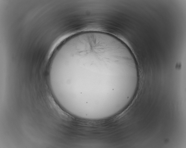 X0000111901123200907271003