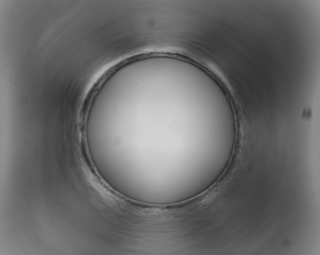 X0000111901124200907271003