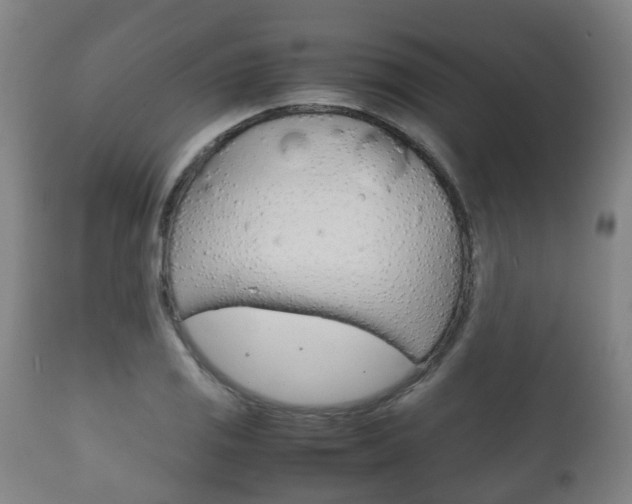 X0000111901125200907271003