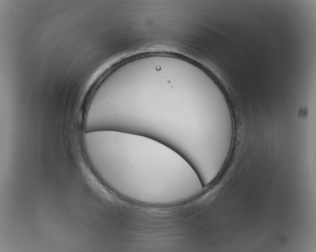 X0000111901126200907271003
