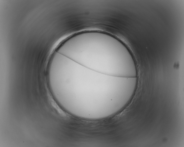 X0000111901127200907271003