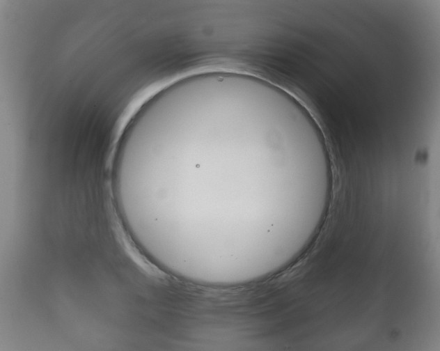 X0000111901128200907271003