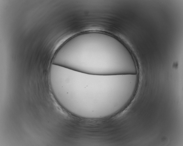 X0000111901129200907271003