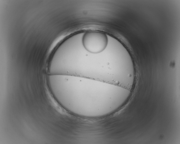 X0000111901130200907271004