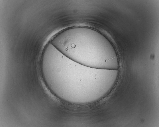 X0000111901133200907271004