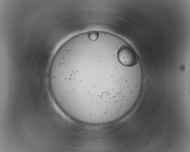 X0000111901134200907271004