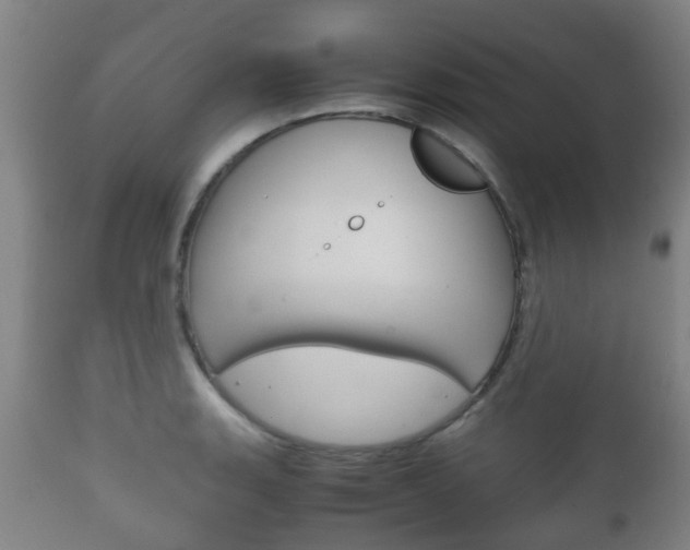 X0000111901135200907271004
