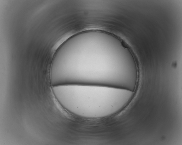 X0000111901137200907271004