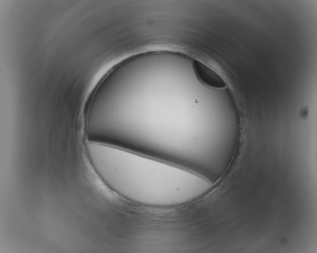 X0000111901140200907271004