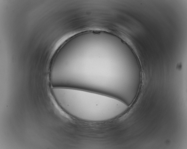 X0000111901141200907271004