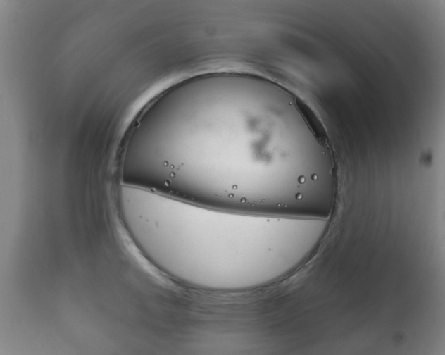 X0000111901142200907271004