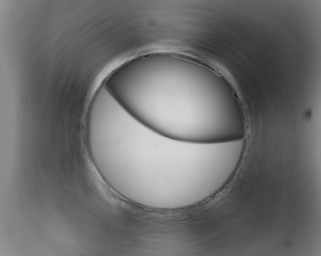 X0000111901146200907271004