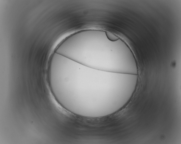 X0000111901147200907271004