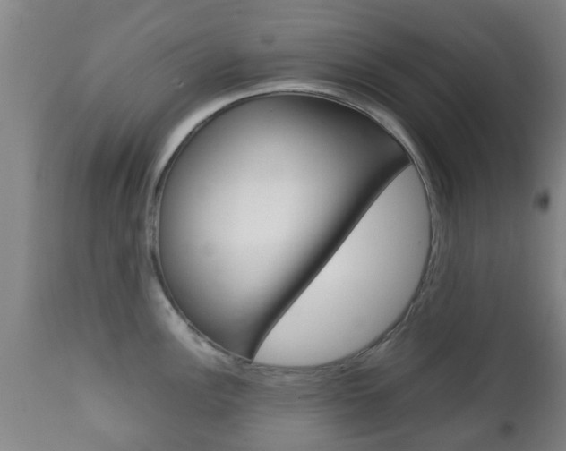 X0000111901148200907271004