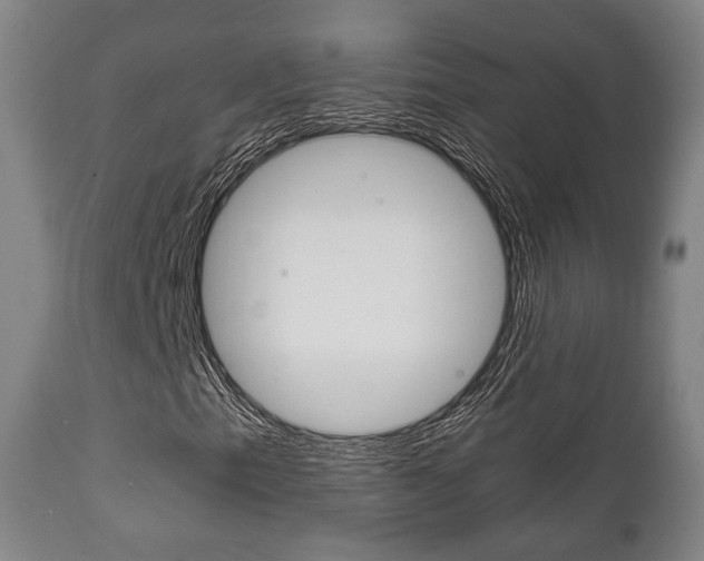 X0000111901153200907271003