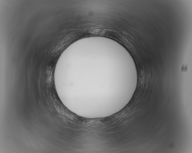 X0000111901154200907271003
