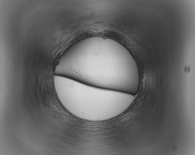 X0000111901156200907271003