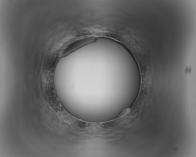X0000111901157200907271003