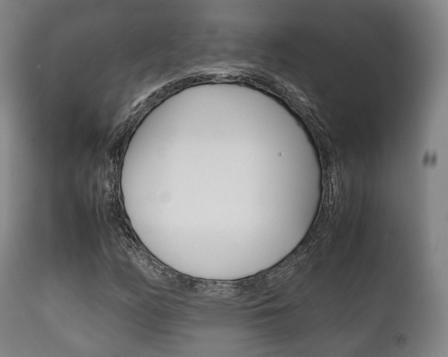 X0000111901158200907271003