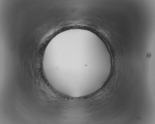 X0000111901159200907271003