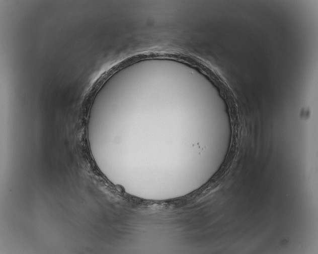 X0000111901160200907271003