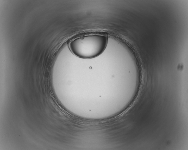 X0000111901161200907271003