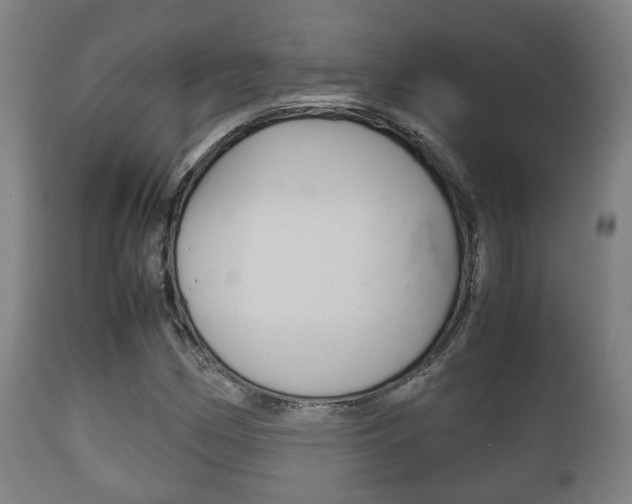 X0000111901162200907271003