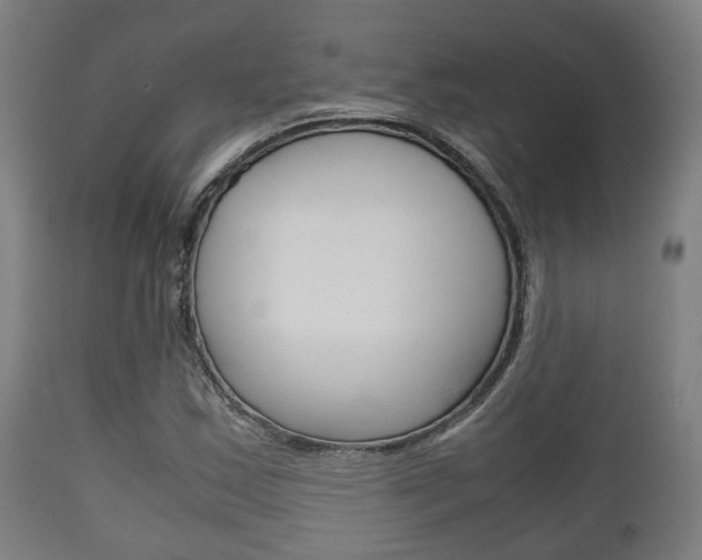 X0000111901163200907271003