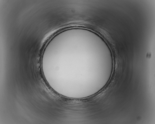 X0000111901164200907271003